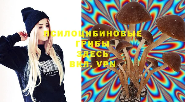 гашиш Осинники