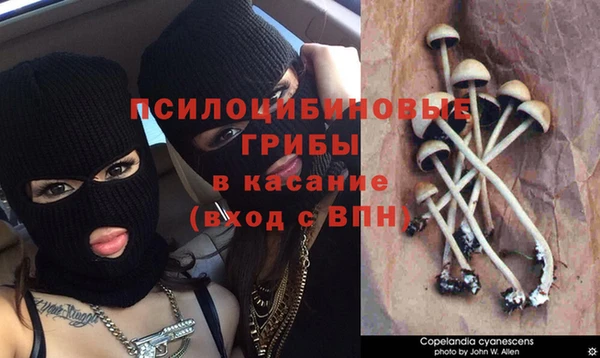 кокс Осташков