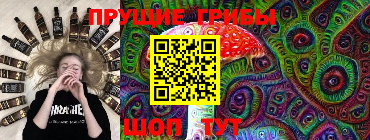 Галлюциногенные грибы Cubensis Заволжье