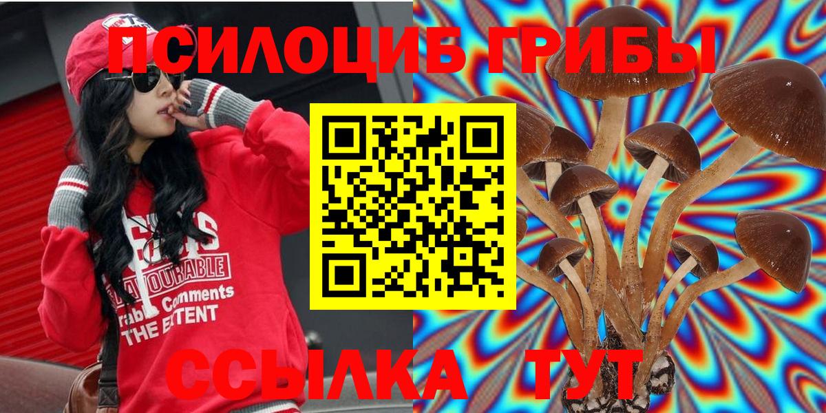 Псилоцибиновые грибы прущие грибы  Заволжье 