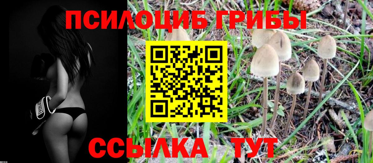 Псилоцибиновые грибы MAGIC MUSHROOMS Заволжье