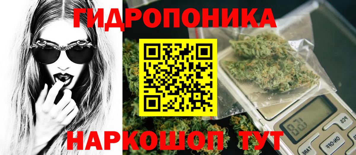  COCAIN Заволжье